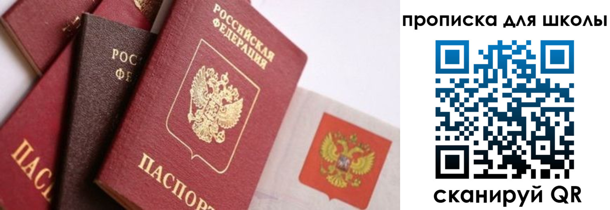 прописка поиск в Североморске